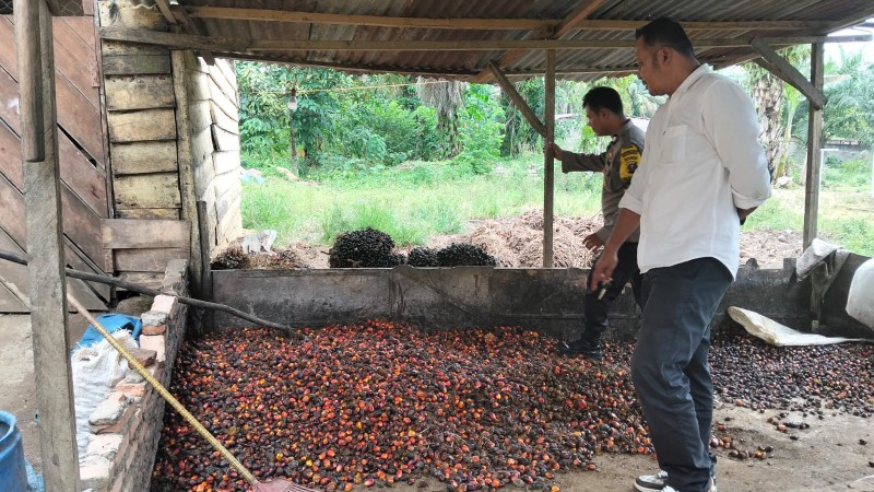 Torgamba Police Tighten Control on Illegal Palm Oil Collection Sites in South Labuhanbatu