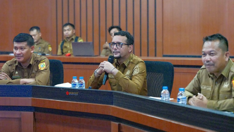 Labuhanbatu Selatan Regency and North Sumatra Province Discuss Transfer Fund Synchronization