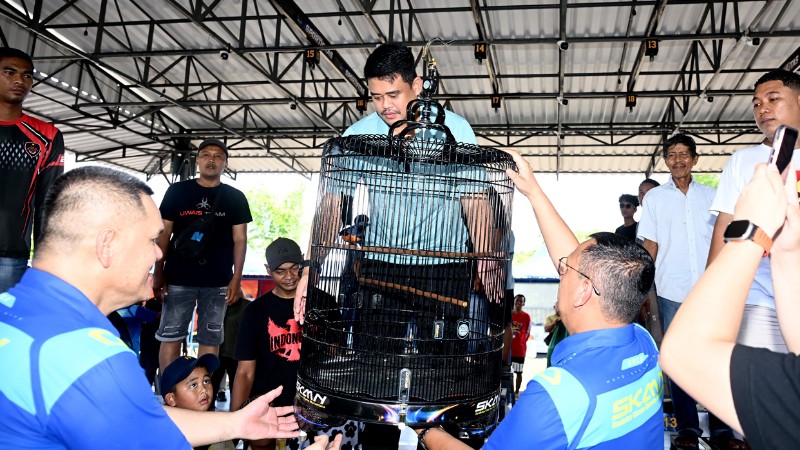 Bobby Nasution Backs National Bird Singing Events in North Sumatra