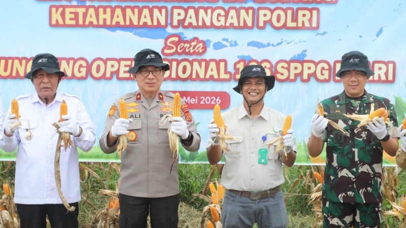 Muaro Jambi Corn Harvest Strengthens Indonesia&rsquo;s Food Security Push