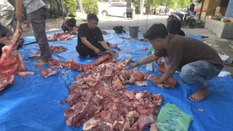 Medan Journalists Forum Slaughters Four Sacrificial Animals for Eid al-Adha