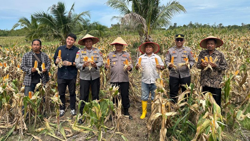 Galang Corn Harvest Yields 10 Tons in Support of 2026 Food Sovereignty Program