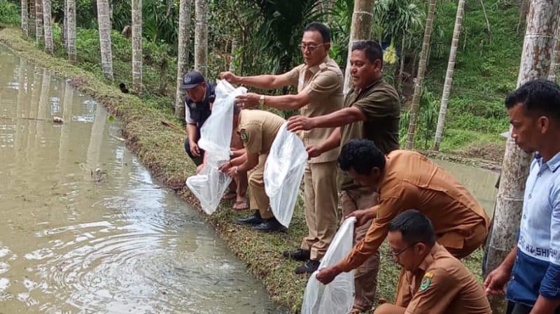 Tapanuli Selatan Regent Distributes Fish Farming Assistance to Strengthen Food Self-Sufficiency