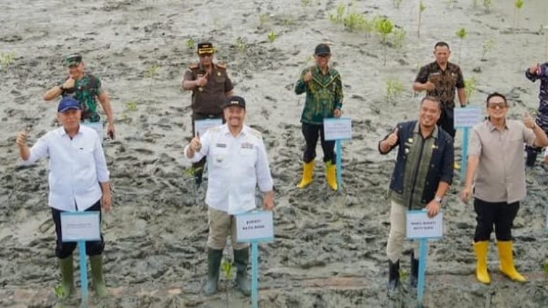 Coastal Protection Effort: Batu Bara Regent Plants Mangroves at Pantai Sejarah, Highlights Commitment to Environmental Sustainability
