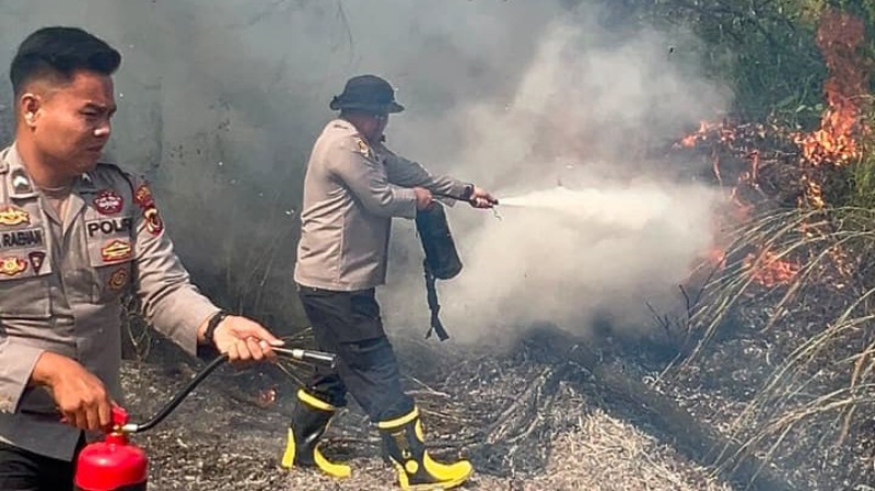 Wildfire on Peatland in Sarolangun Successfully Extinguished