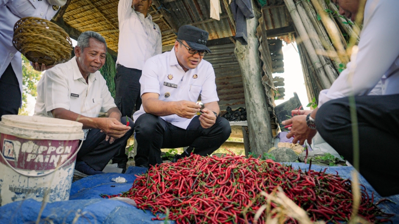 Deli Serdang Regent Strengthens Support for Farmers During 17th Chili Harvest