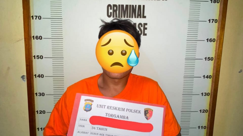 Police Solve School Inventory Theft at SDN 20 Aek Batu
