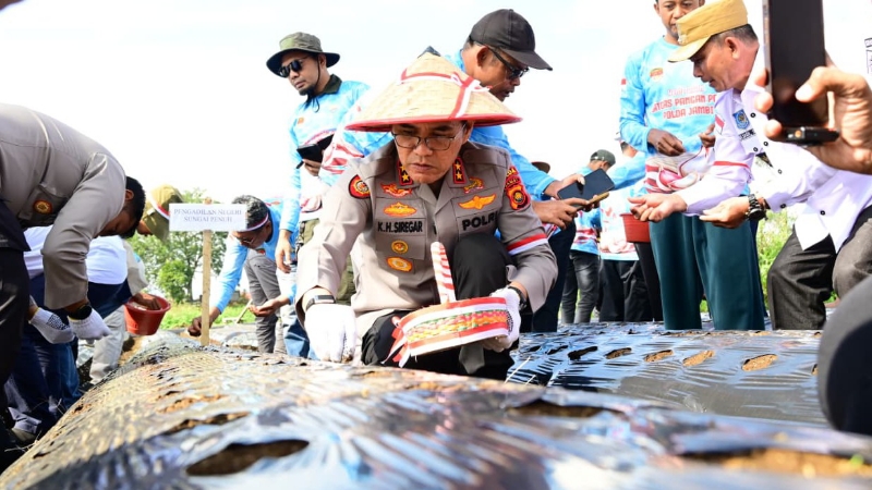 Polda Jambi Expands Garlic Production to Strengthen Food Security