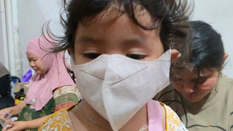 Forest and Land Fires in Jambi and Riau Threaten Public Health