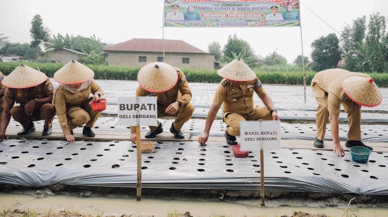 Deli Serdang Tests Shallot Cultivation in Tanjung Morawa