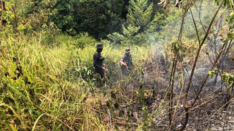Brimob Patrols Elephant Conservation Area in Tebo