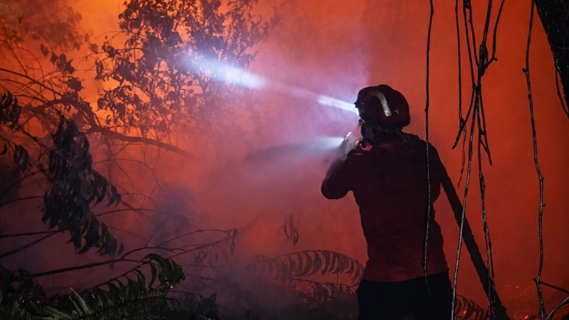 142 Personnel Deployed to Fight Forest and Land Fires in HLG Londerang