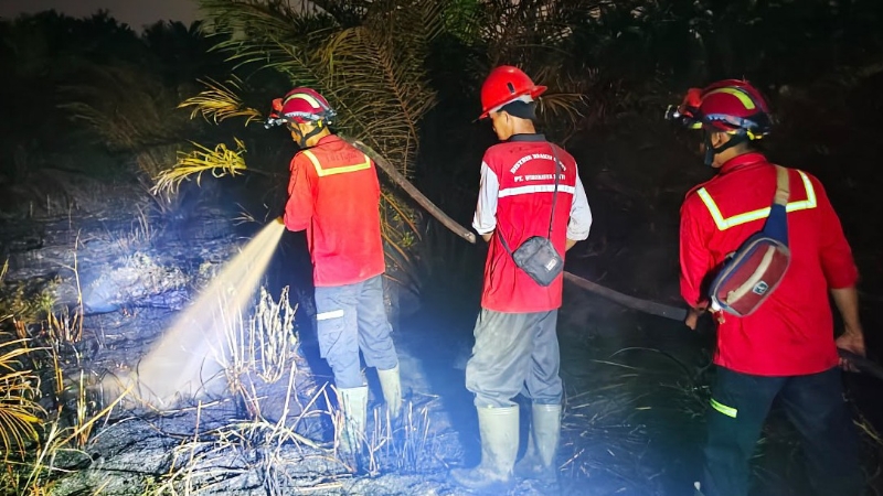 Joint Response Team Extinguishes Forest and Land Fire in Muaro Jambi