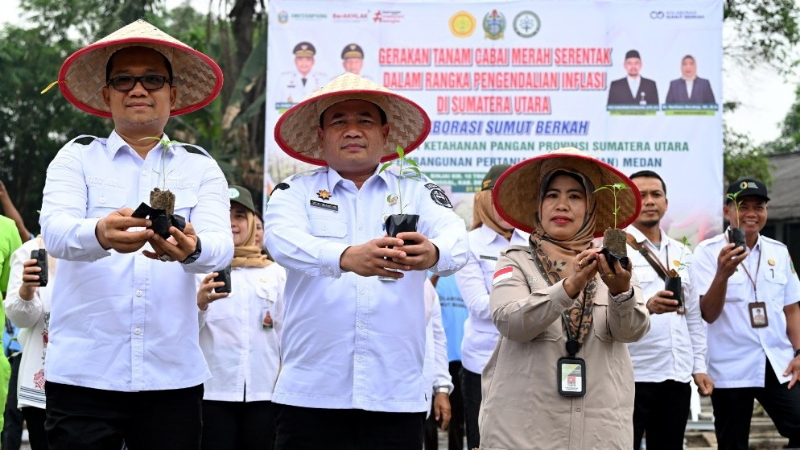 Campus Food Production Strengthens Food Security in North Sumatra