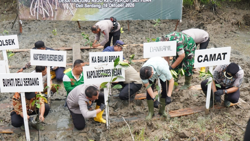 Deli Serdang Plants 1,994 Mangrove Seedlings to Protect Coastline